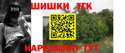 тгк Партизанск