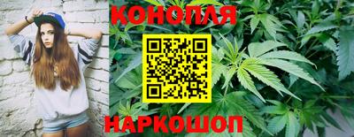 тгк Партизанск