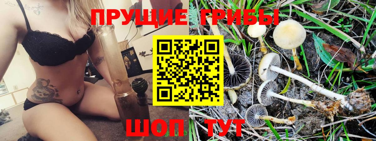 Галлюциногенные грибы прущие грибы Пугачёв