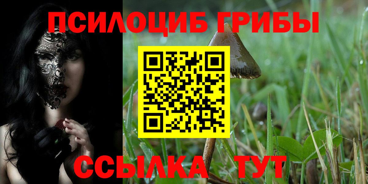 Псилоцибиновые грибы мицелий  Вход с VPN  Пугачёв 
